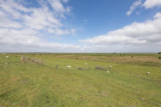 Naturschutzgebiet direkt vor der Tür 