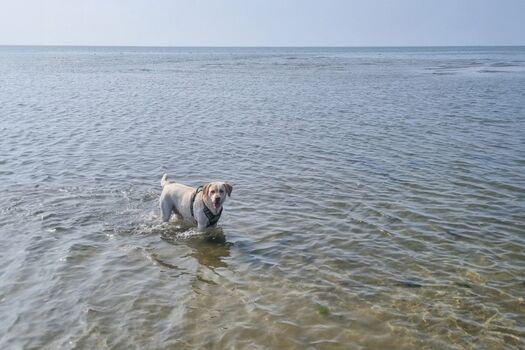 Das Meer ist nicht weit !