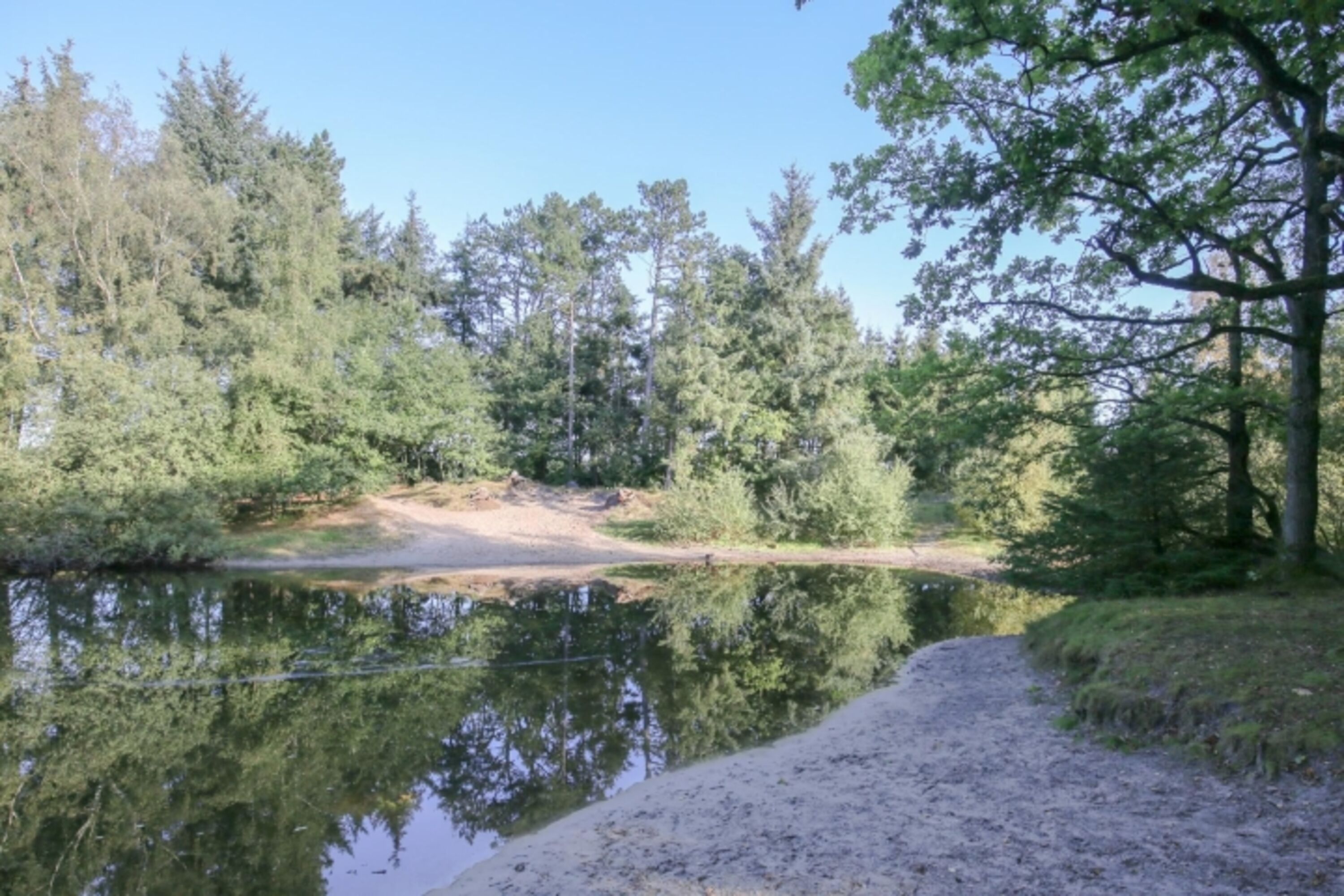 In de Bargen - Nicht weit von der Unterkunft gibt es einen Natur-Badeteich 
