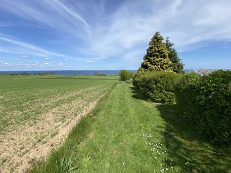 Grasweg vom Grundstück zum Wasser