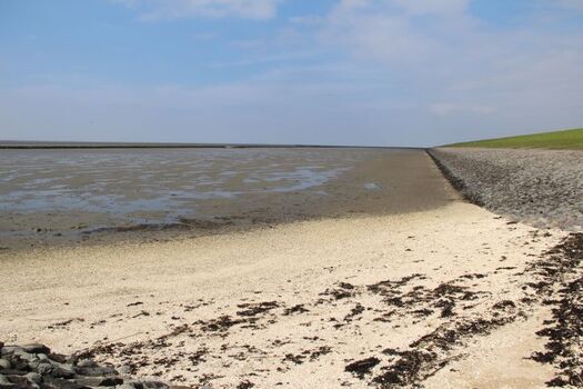 auf zur Wattwanderung