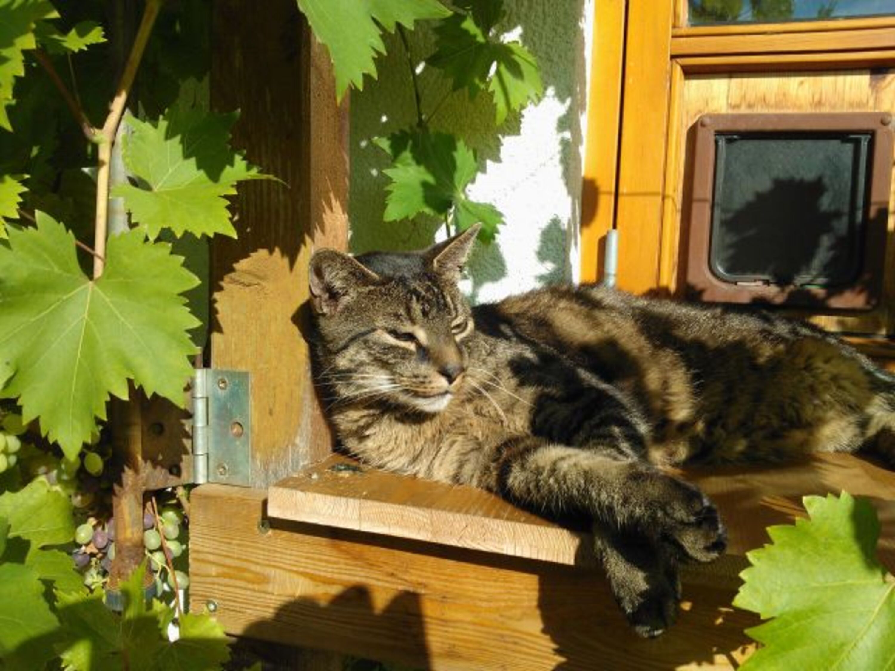 Bild 18