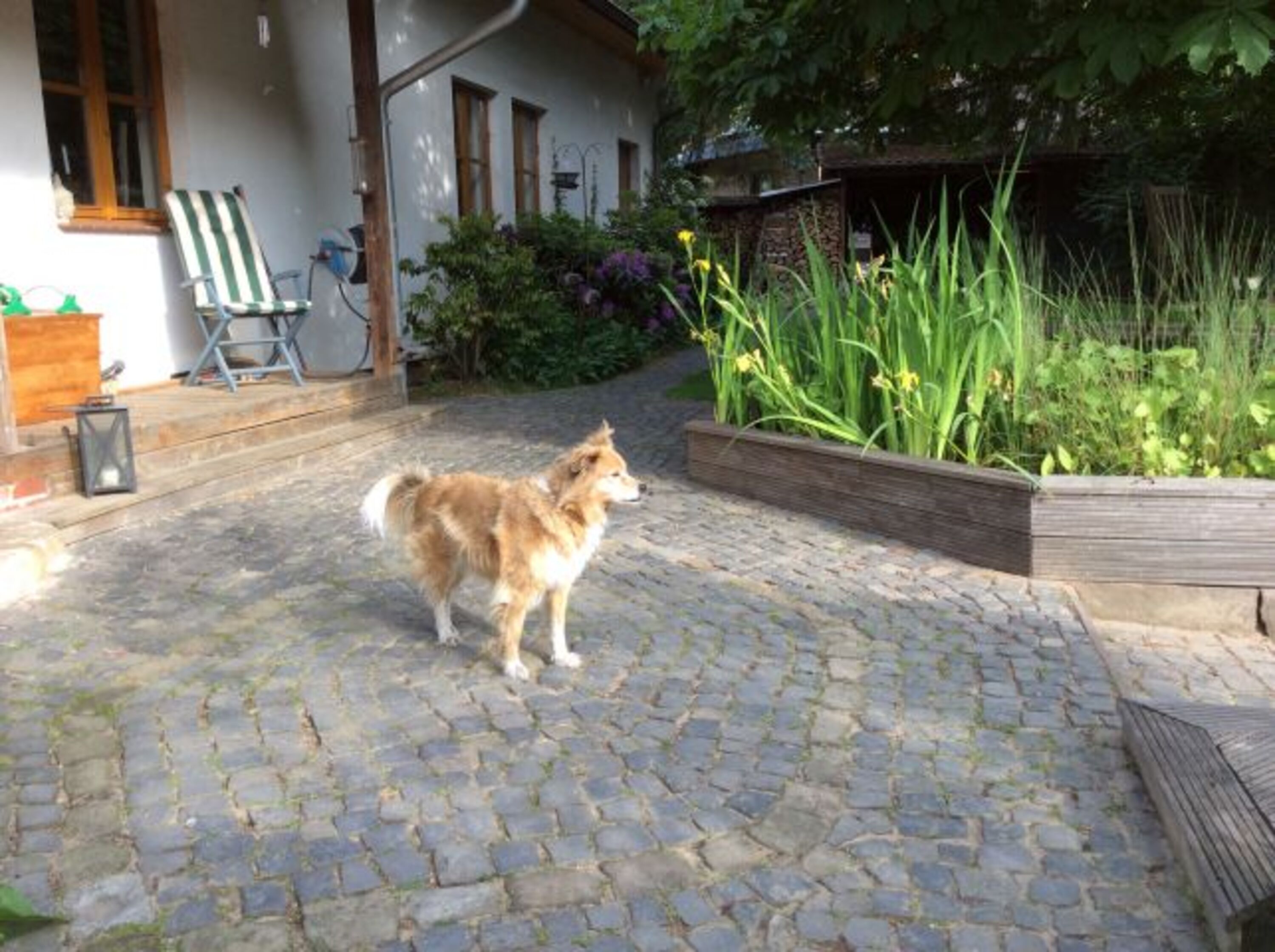 Bild 16