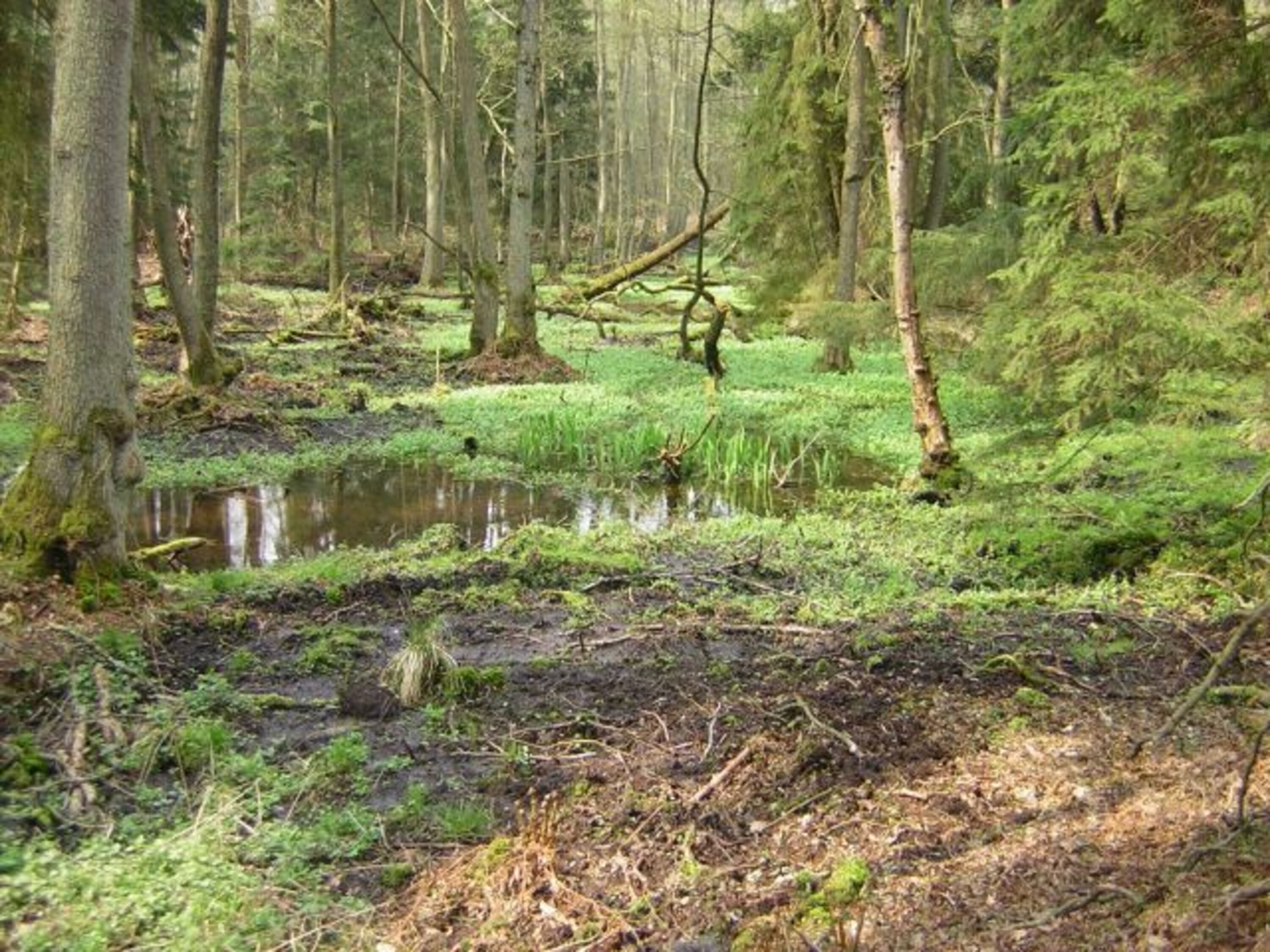 Bild 19