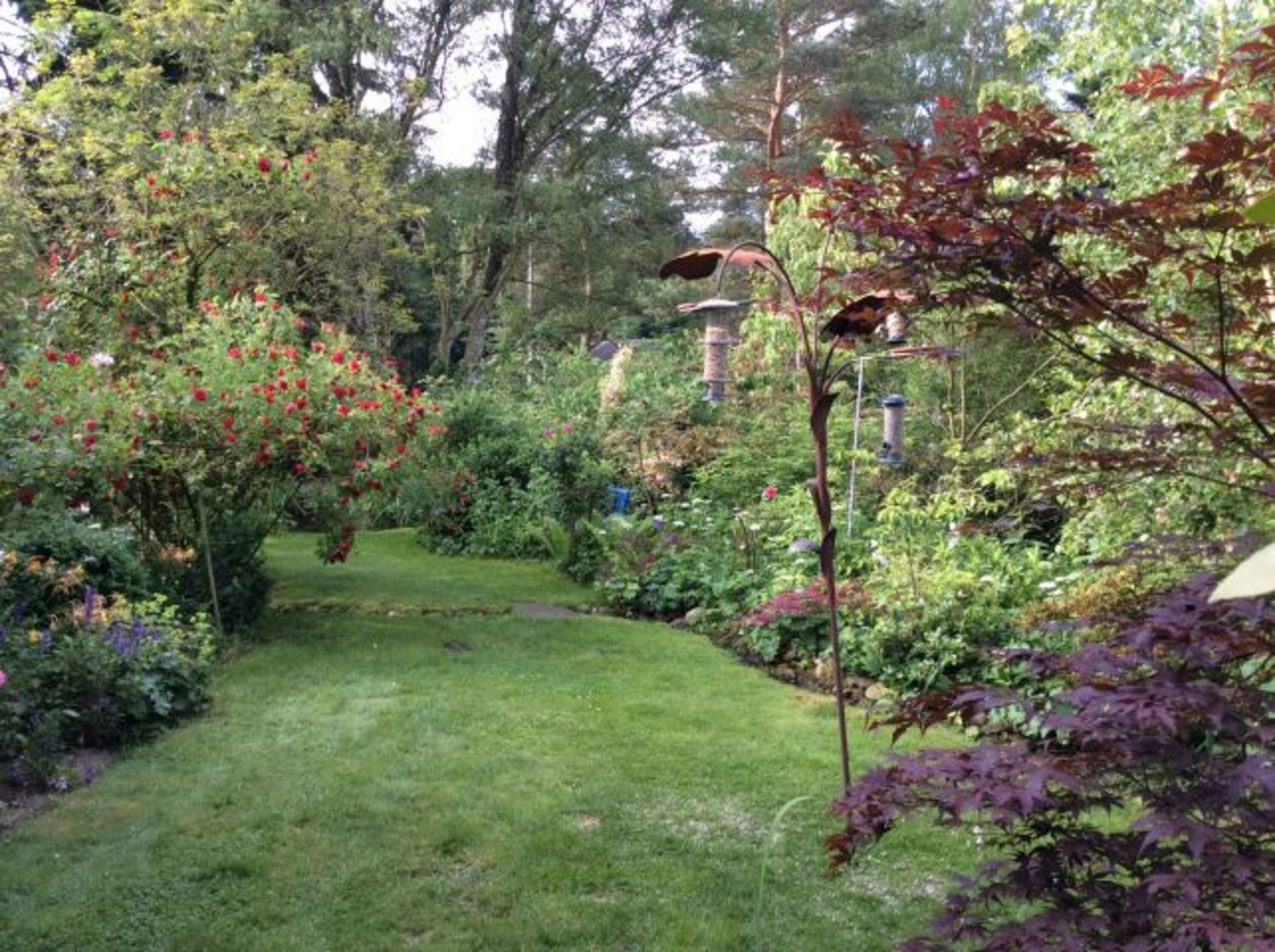 Bild 17