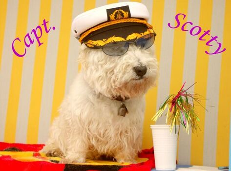 IHR LIEBLING IST BEI UNS WILLKOMMEN !