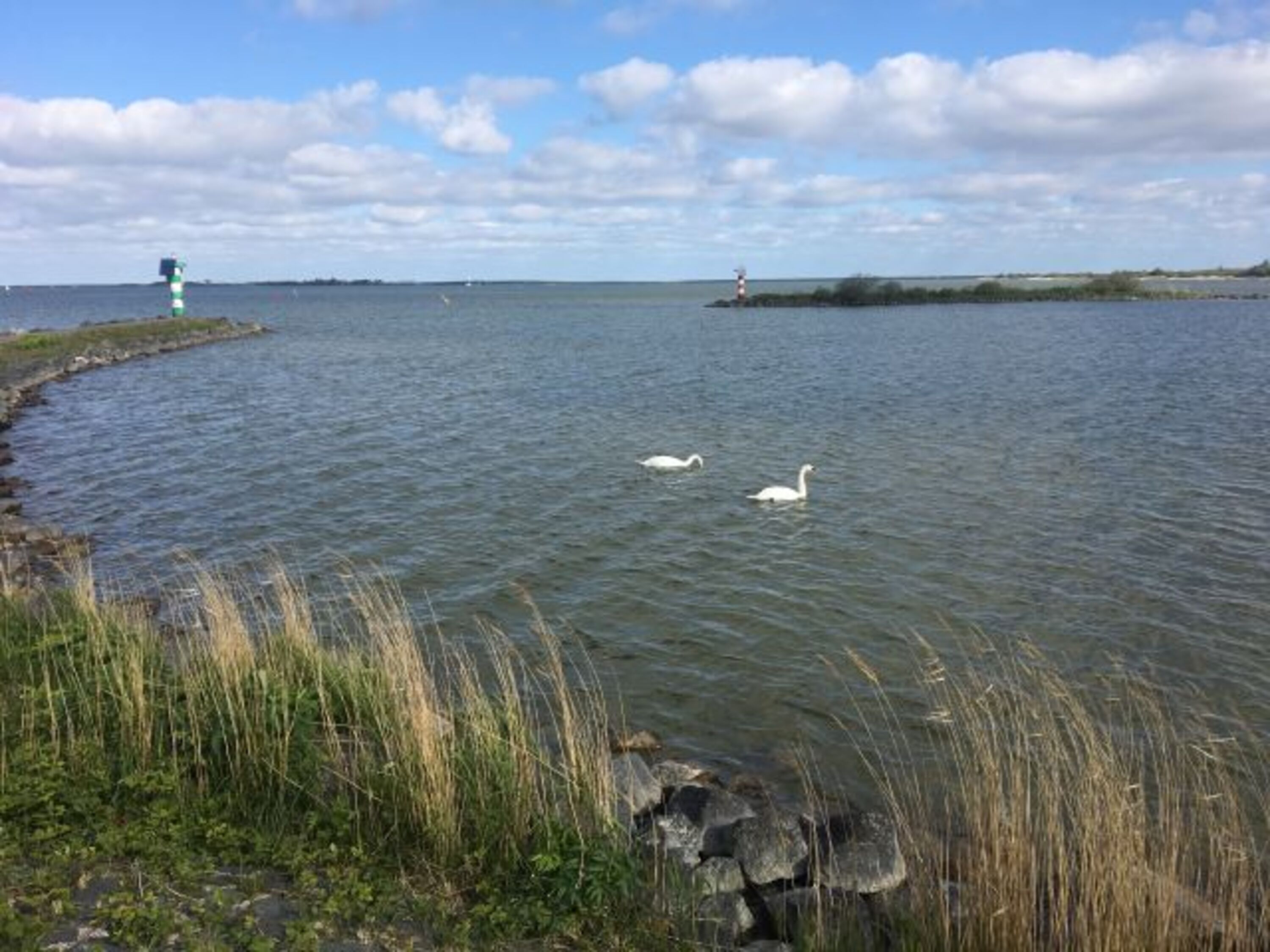 Natur pur