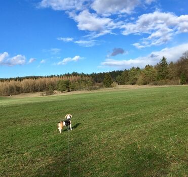 Worauf wartet ihr noch?