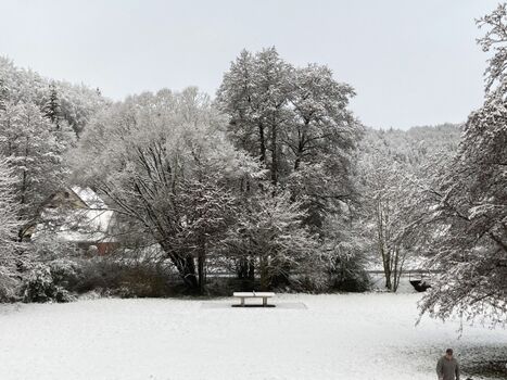 Blick aus dem Küchenfenster