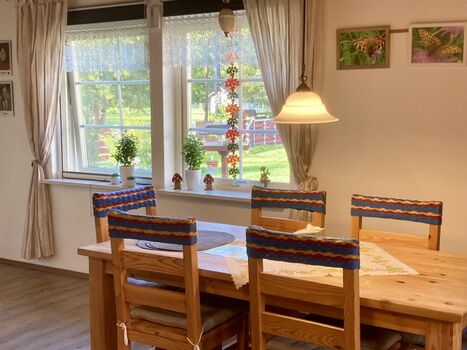 Blick aus dem Wohnzimmer