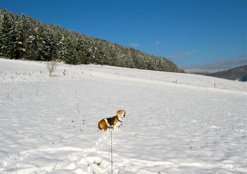 Hallo, wo seid ihr? Wir freuen uns auf euch!