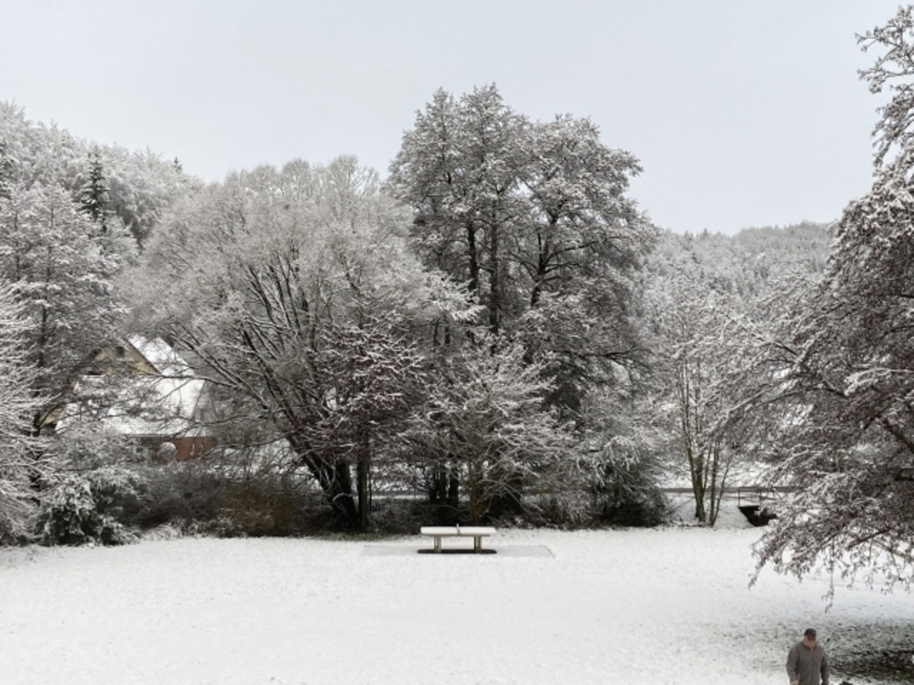Blick aus dem Küchenfenster