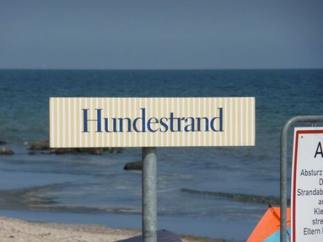 Hundestrand Sellin