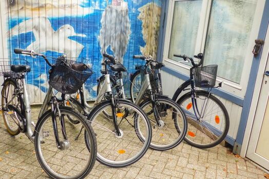 Auf Wunsch Fahrräder