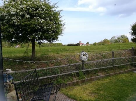 Südwestseite hinter dem Haus