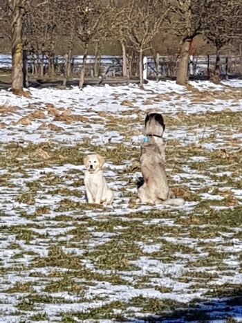 sooo schön im Allgäu