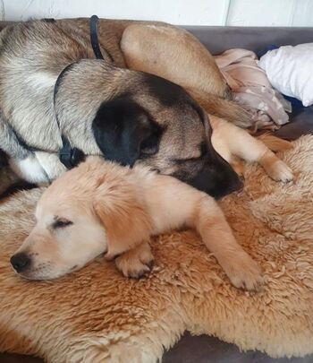 wir sind erledigt, es gibt so viel zu erkunden