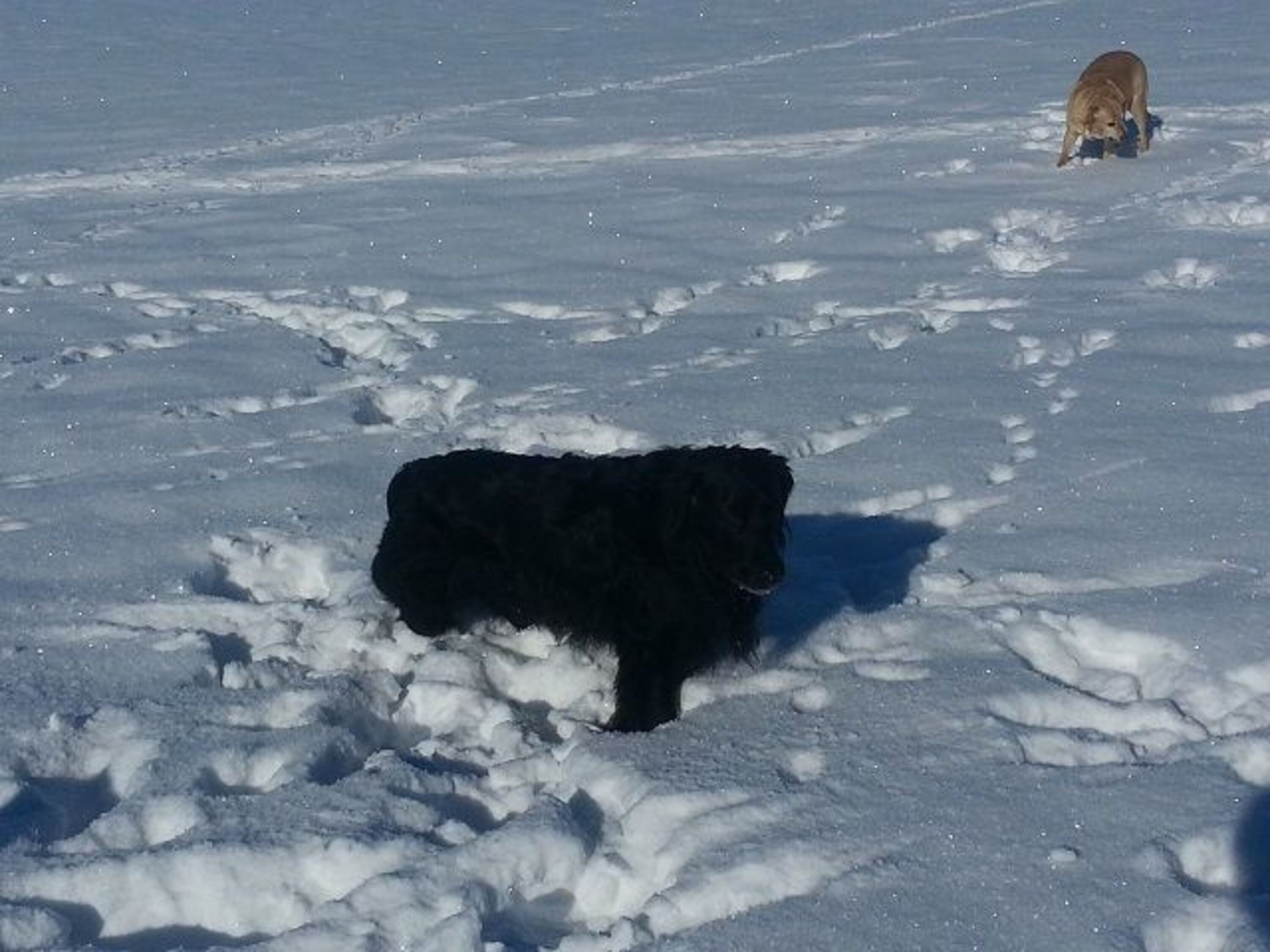Bild 5