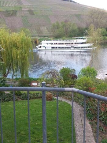 Moselblick vom Balkon
