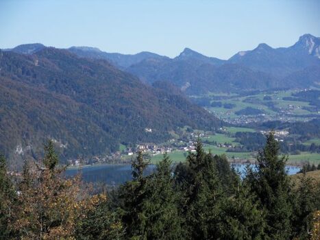 Blick auf Walchsee
