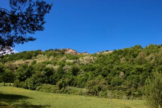 Große Hundewiese mit Blick auf Montone