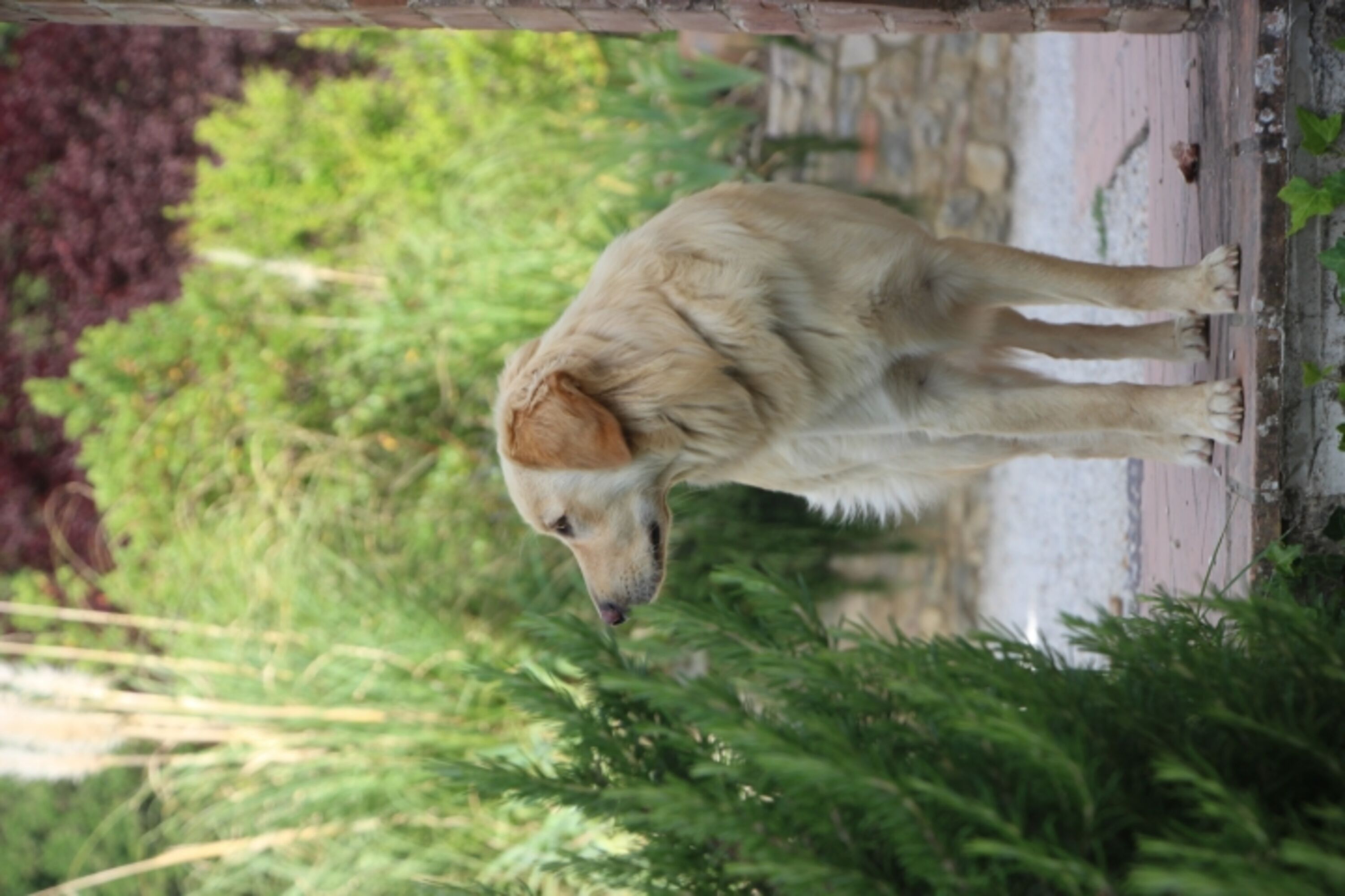 Bild 18