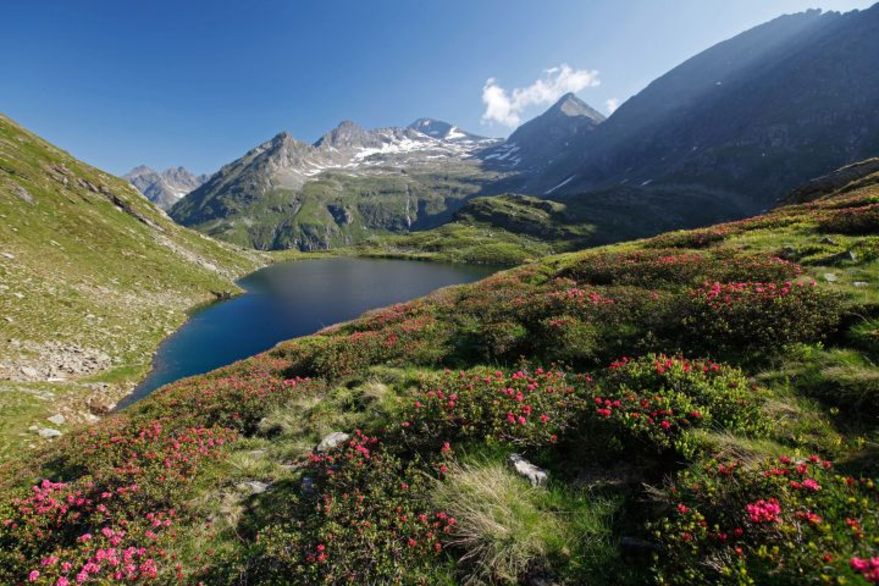 Landschaft