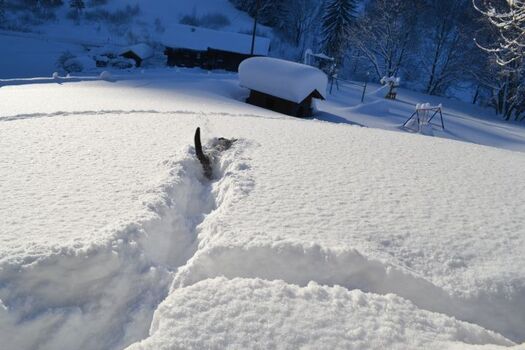 schwieriger Auftrag Mika sucht das Christkind