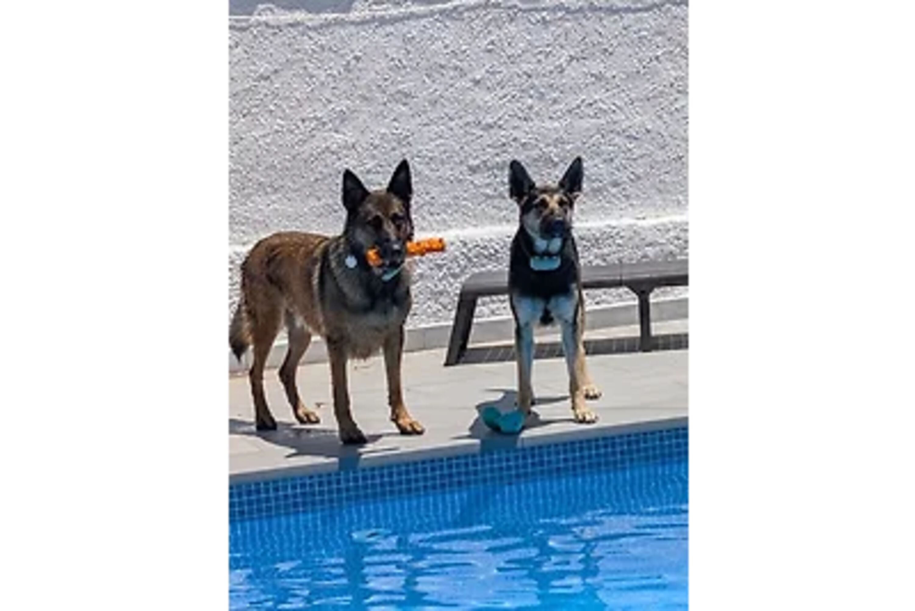Rusty und Dinah