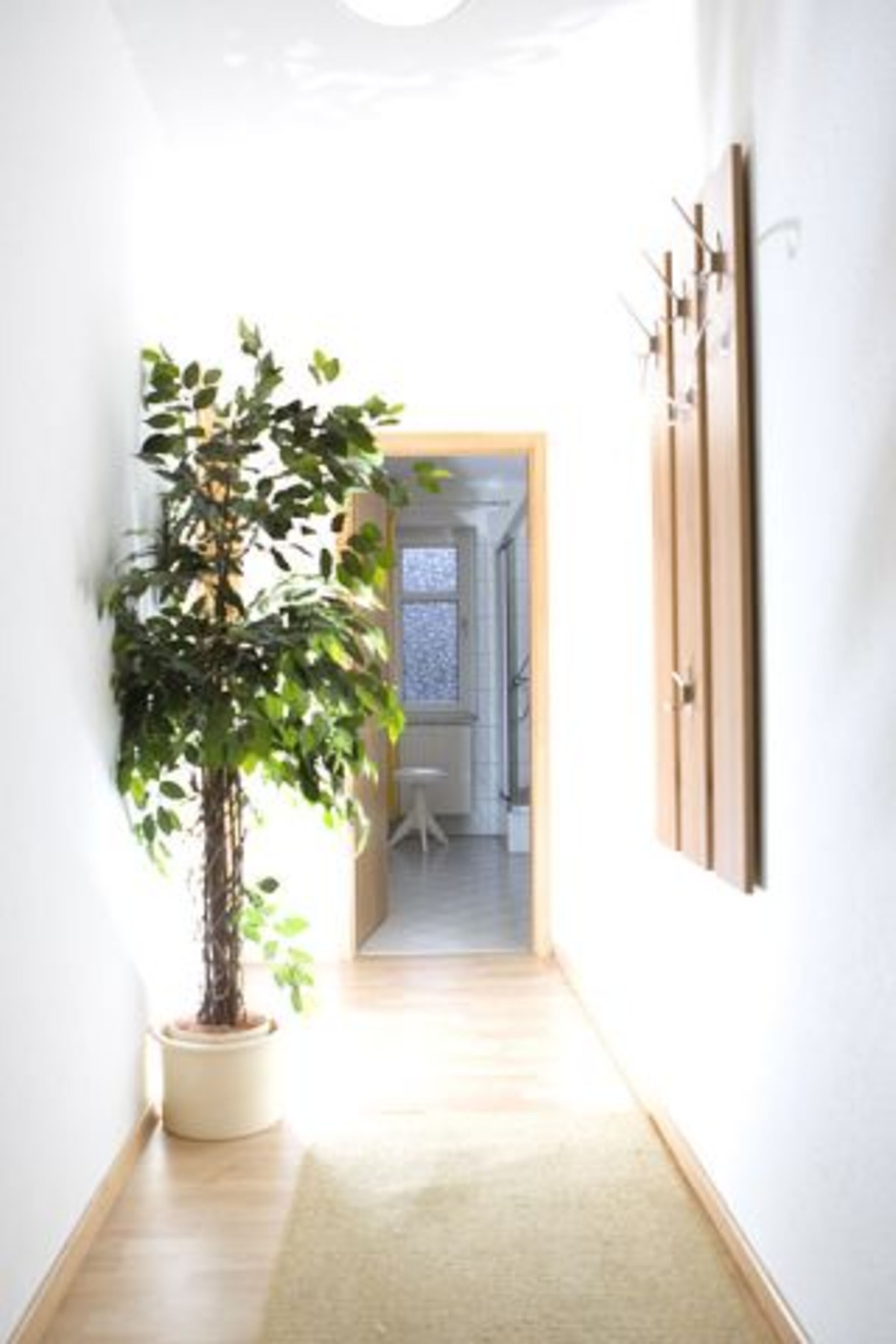 Wohnung Edo Wiemken 47 Nr. 1