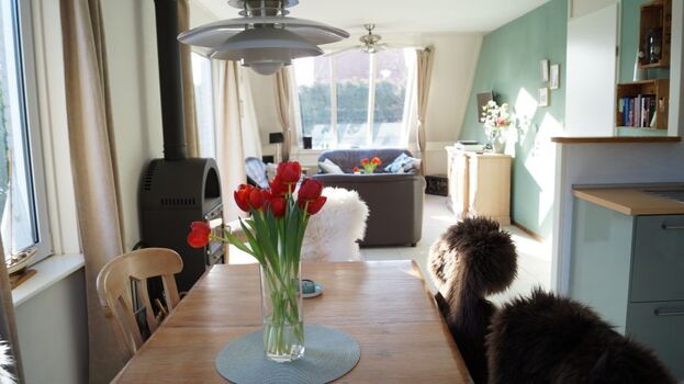 Blick auf den gesamten Wohn-Eßbereich mit 2 Terrassenzugängen