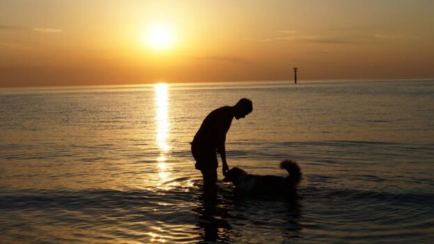 ...oder mit dem Herrchen den Sonnenuntergang zu genießen
