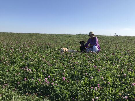 Mit Fellnasen unterwegs