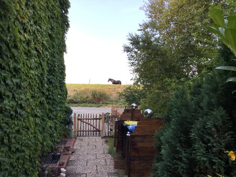 Blick aus dem Garten