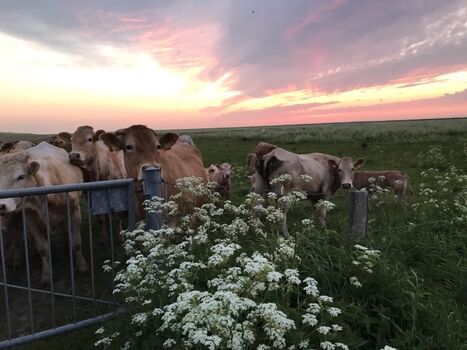 Auf dem Weg zum Meer