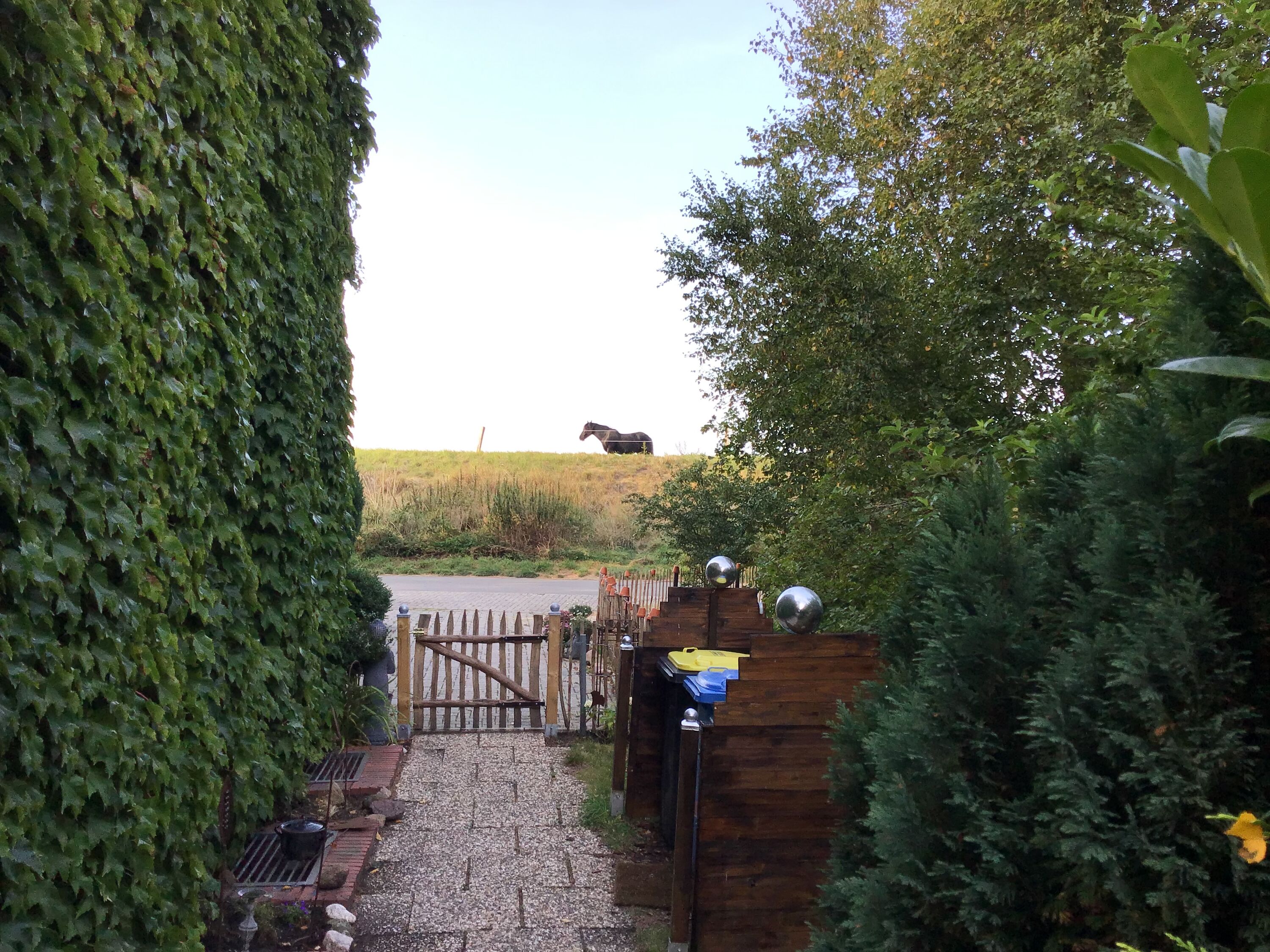 Blick aus dem Garten