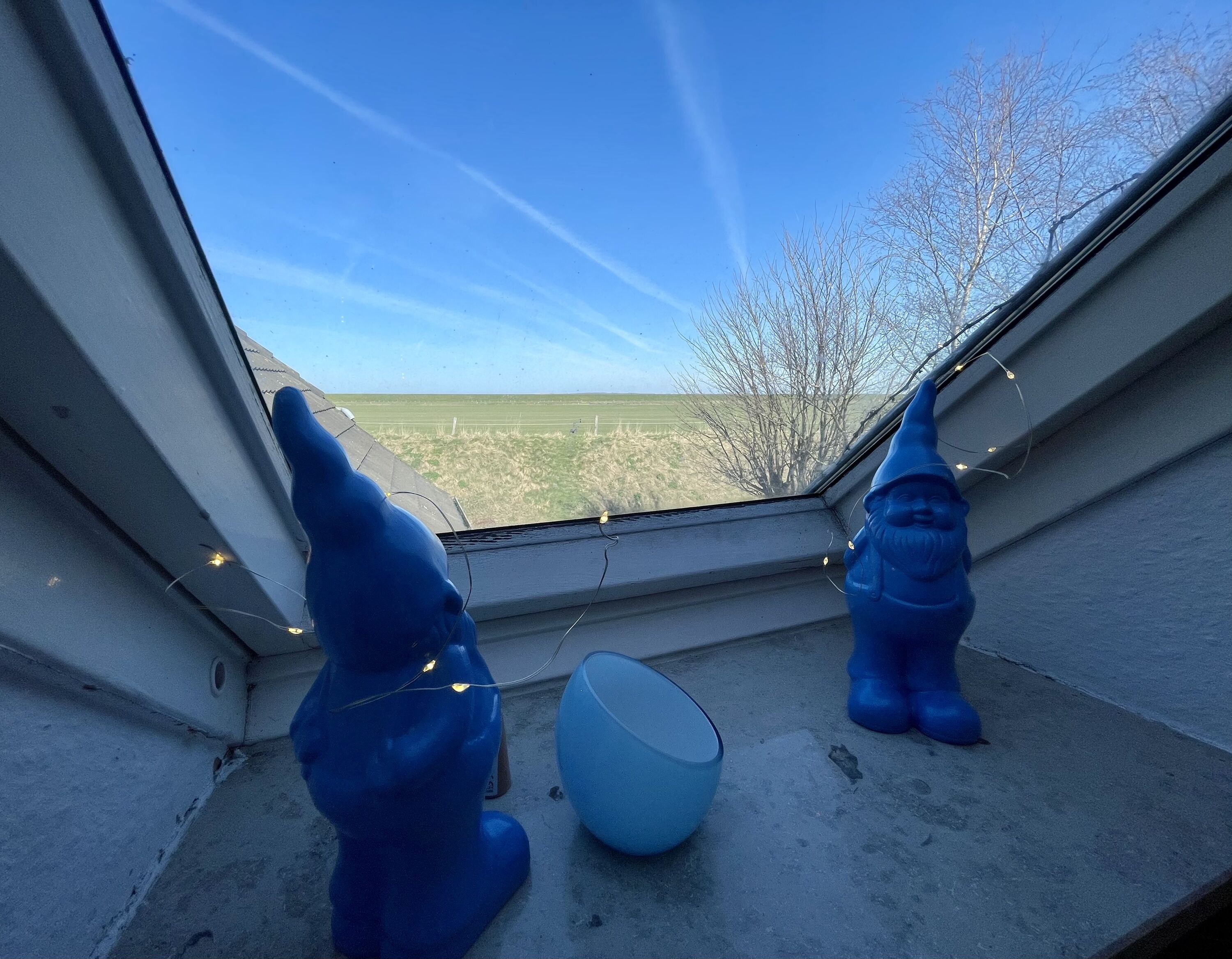 Ausblick
