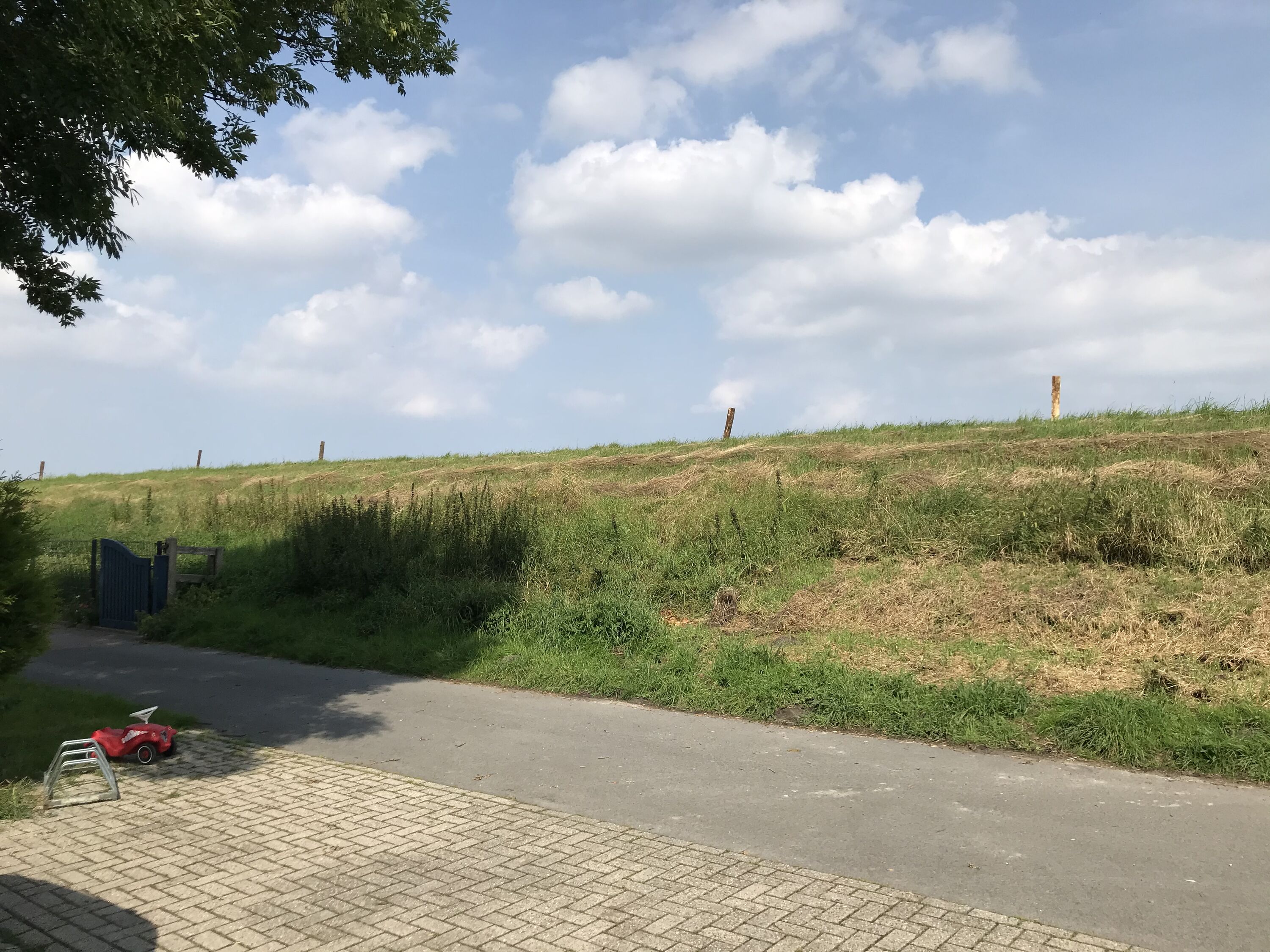 Blick vom Haus aus