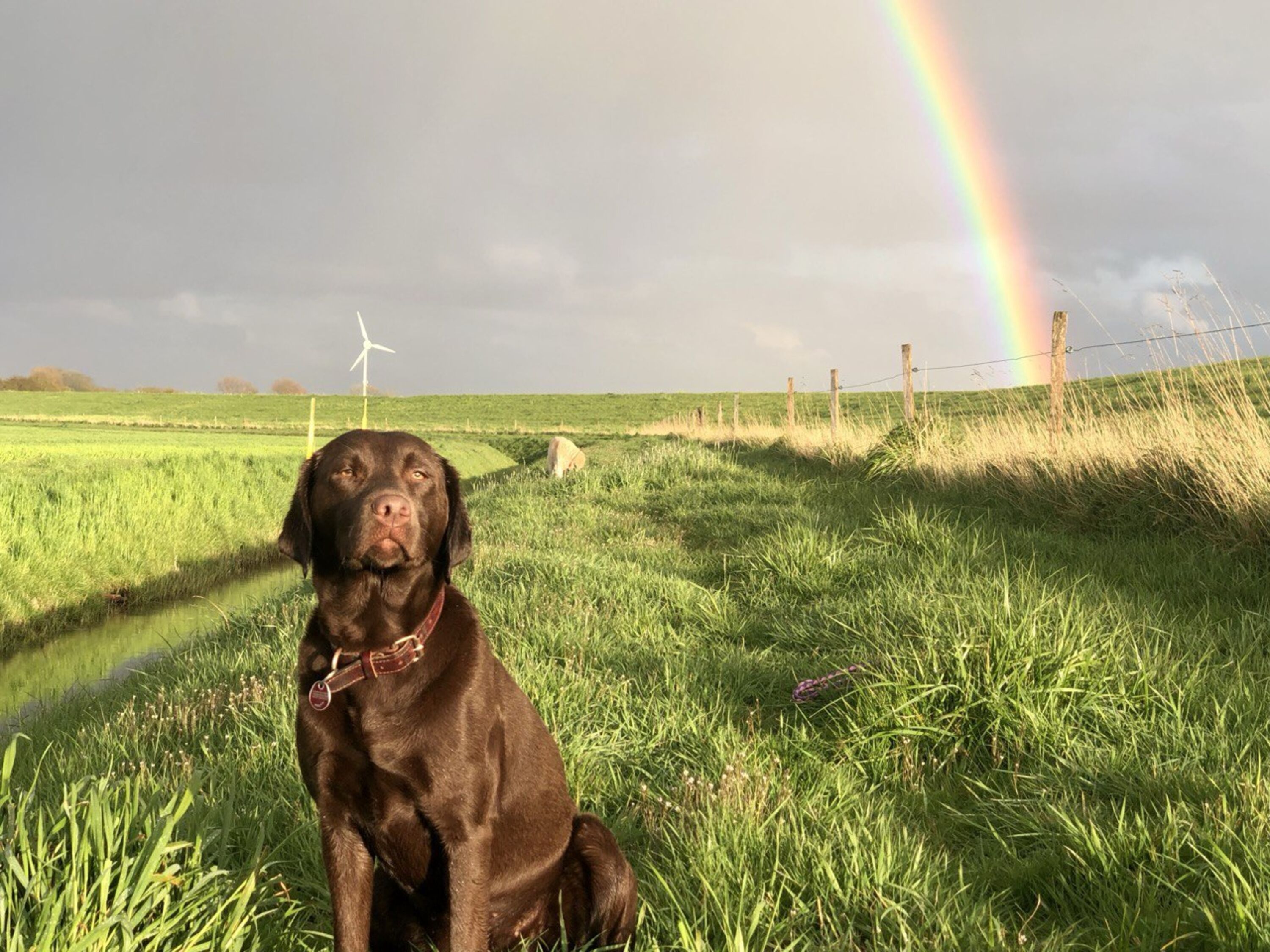 Regenbogen am Deich