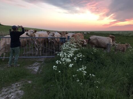 Auf dem Weg zum Meer 