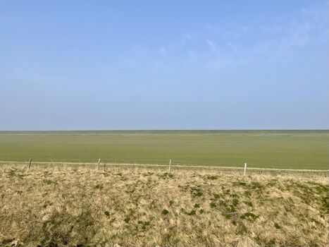 Ausblick vom "Ausguck"