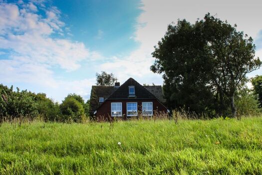 Wohnung Ausguck mit Blick über den Deich