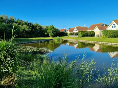 Gepflegter und sonniger Garten mit Seeblick