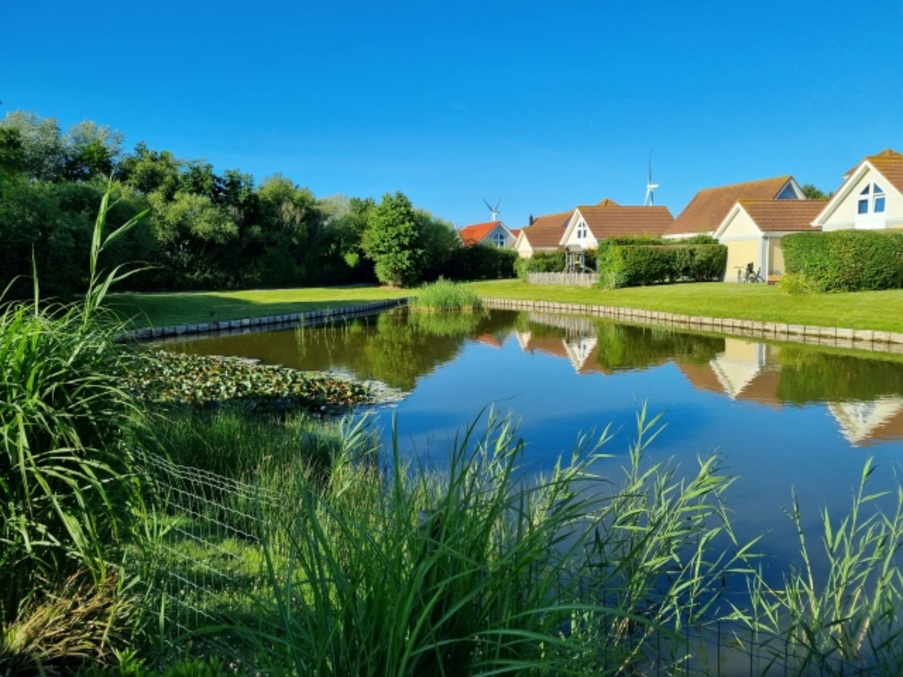 Gepflegter und sonniger Garten mit Seeblick