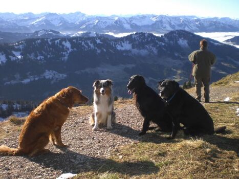 Aussicht am Hochgrat