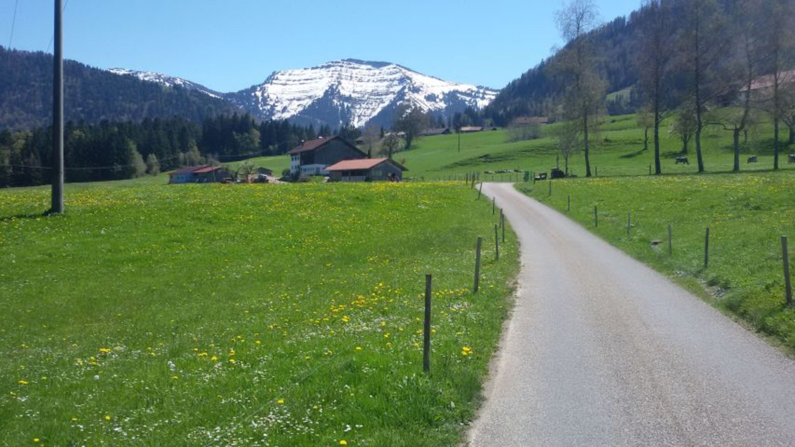 Mein Heimweg vom Semmel holen