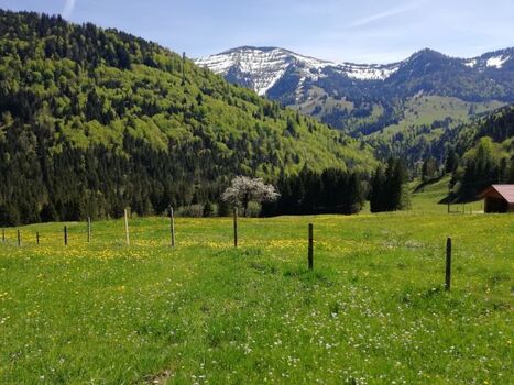 auf dem Weg zur Weißach