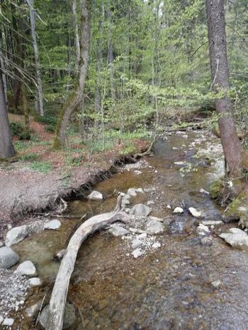 Hausbach 150m entfernt. Zum Planschen geeignet