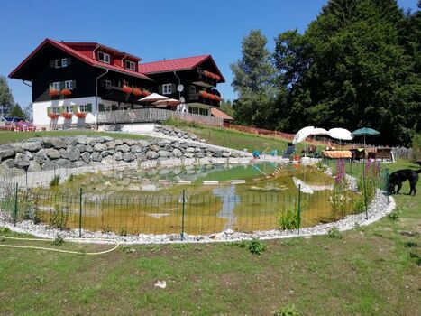 Unser Haus vom Teich aus