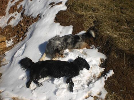 Wohlfühlen im Restschnee